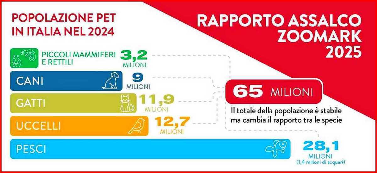 ANIMALI RINCARO SPESA 2025 1