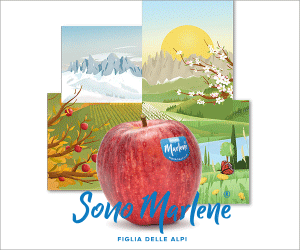 sacla-banner-salse-1.gif