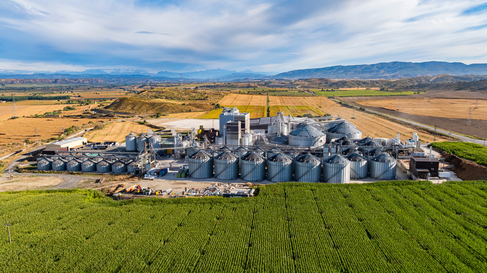 CEREAL DOCKS QUALITY CORN MAIS 1