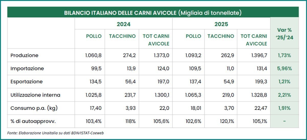 Carni avicole uova sbancano mercato filiera miliardi t