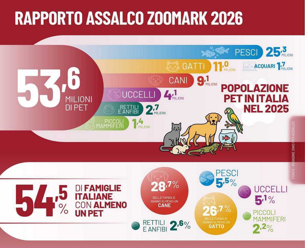 PET FOOD PET CARE SALITA MERCATO MILIARDI 1
