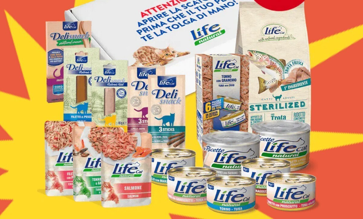 Spagnola Cotecnica aretina Life Pet Care 1