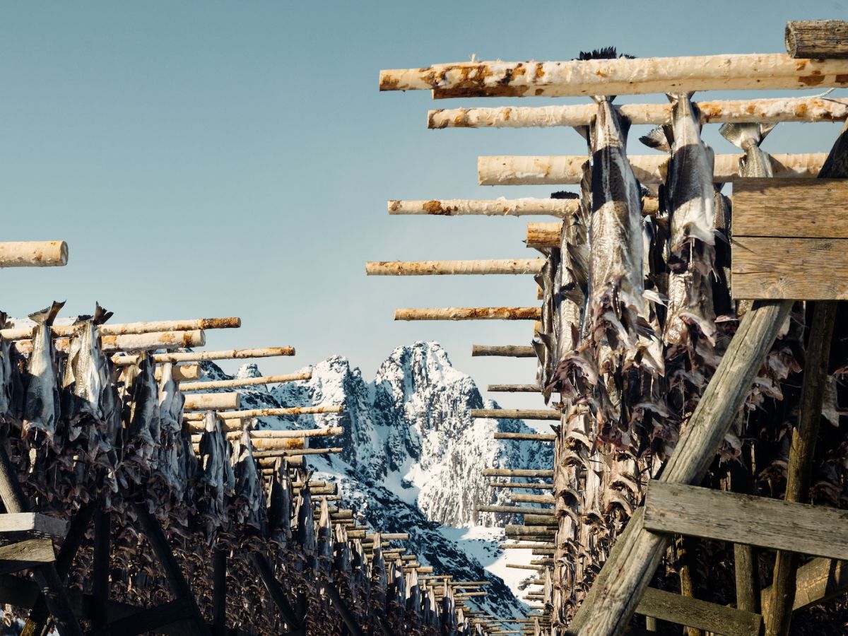 Il Norwegian Seafood Council porta l’eccellenza ittica norvegese a TuttoFood