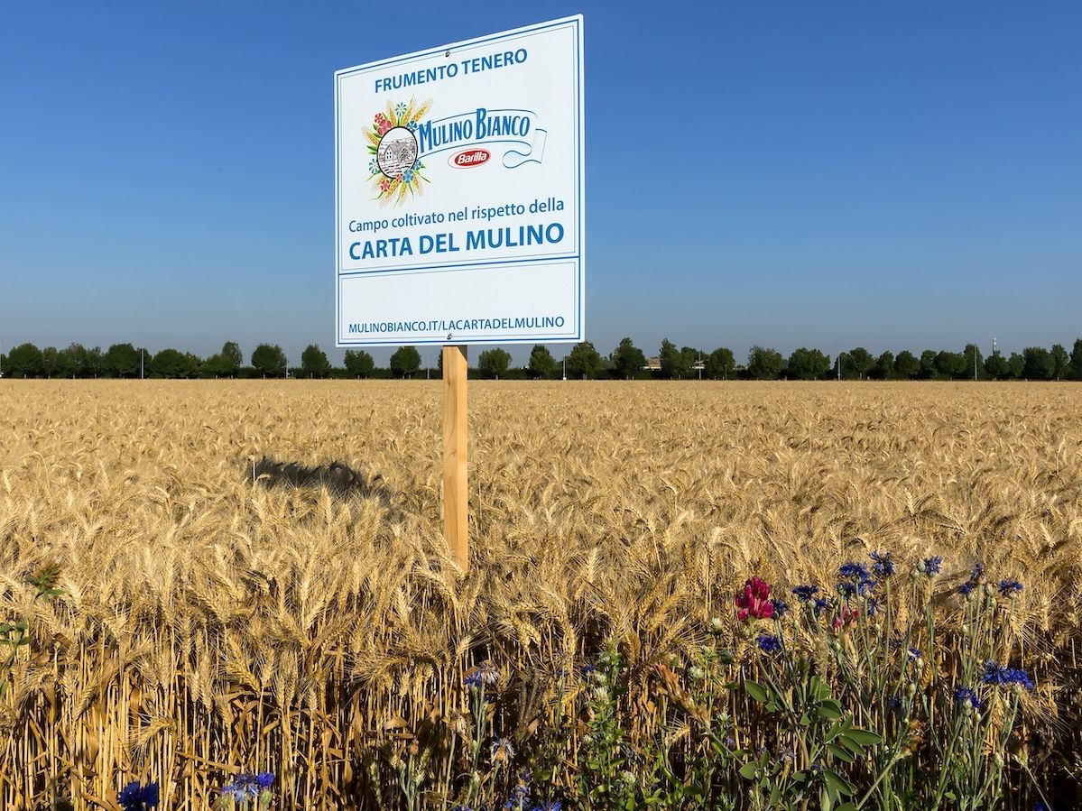 Barilla triplica l'installazione di impanti fotovoltaici e punta sull'agricoltura rigenerativa