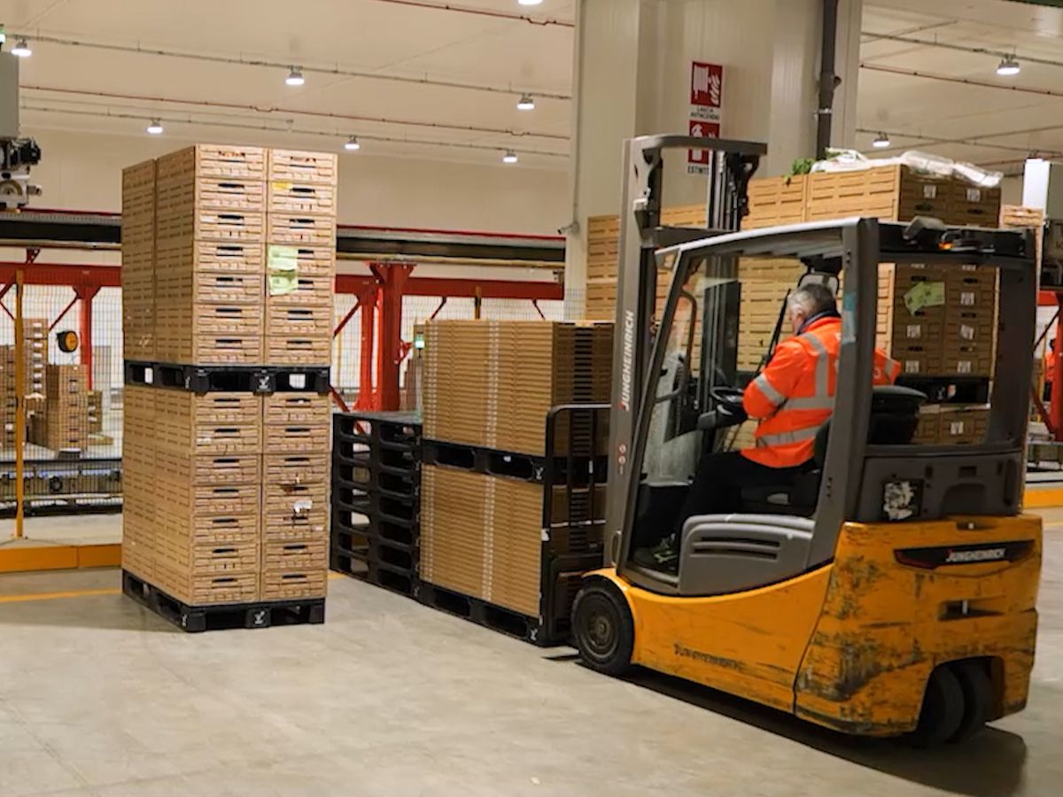 Tosca e Cabka: nuovo circular pallet per la logistica sostenibile dei beni di largo consumo