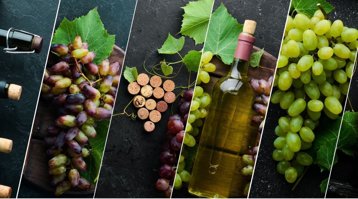 Mediobanca: scendono i fatturati del vino. Ripresa nel 2026