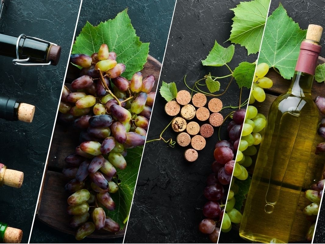 Mediobanca: calano i fatturati del vino. Ripresa nel corso del 2026