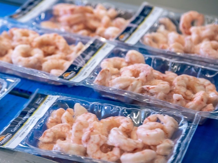 Panapesca racconta con una guida e una campagna il valore del pesce surgelato 