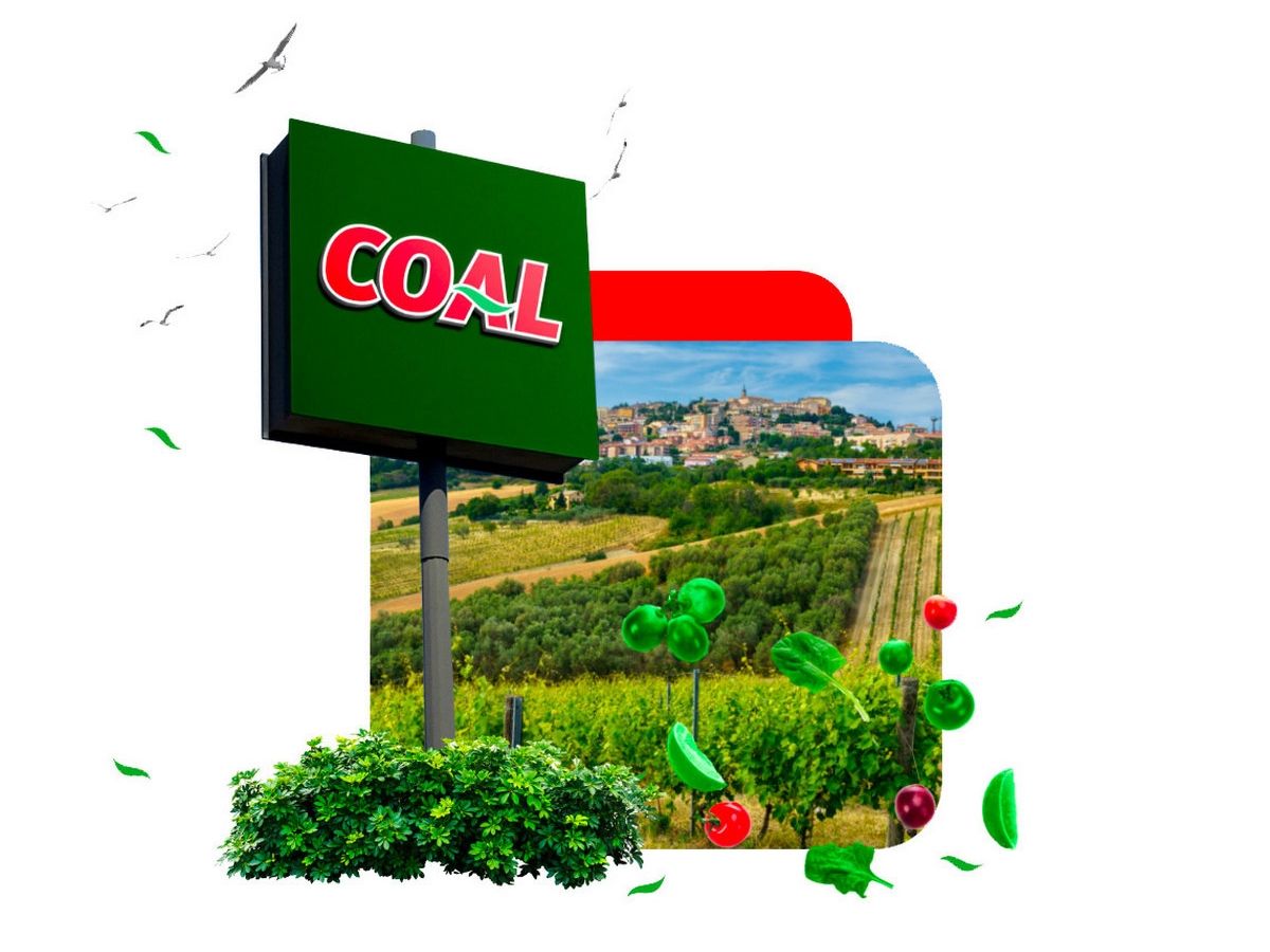 Coal si conferma solida anche nel 2025. Investiti oltre 41 milioni in 5 anni