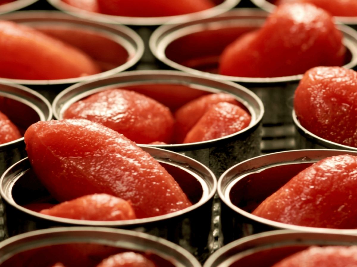 Pomodoro da industria: raggiunta l‘intesa per la campagna 2026 nel Bacino Centro Sud