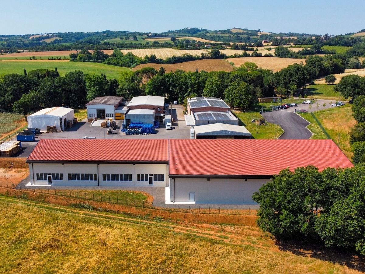 Apicoltura Piana chiude il 2025 con 26,3 milioni di fatturato