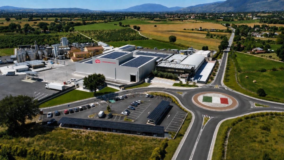 Coricelli: oltre 78 milioni di litri di olio venduti nel 2025 e l’export al 58%