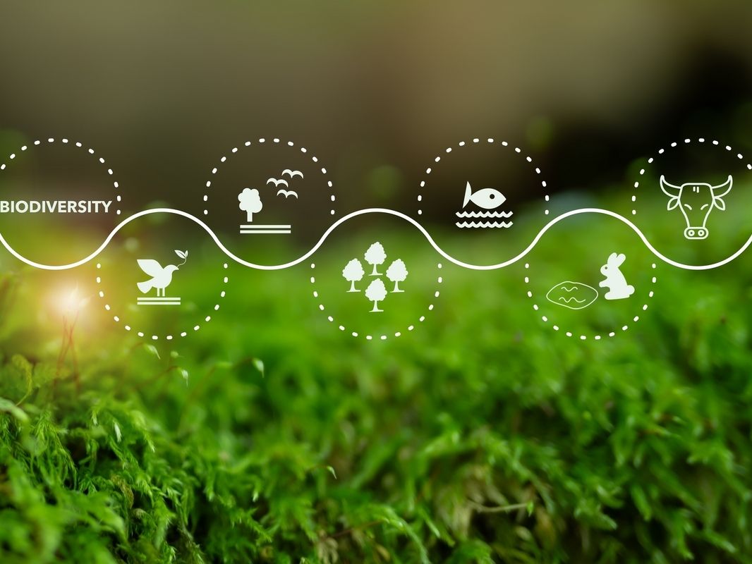 EcorNaturaSì: 20 milioni per lo sviluppo e la biodiversità