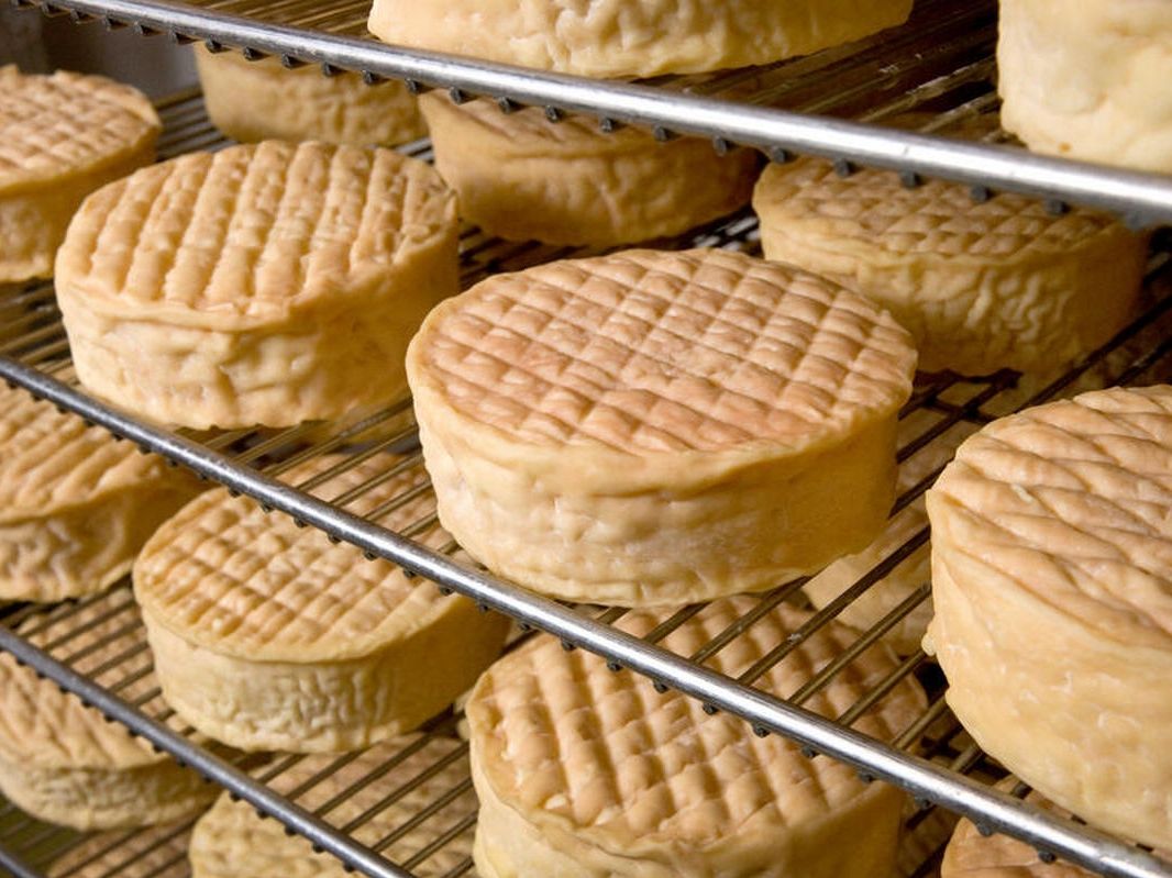 Lactalis: deal in Francia e Canada. Triballat (365 milioni) è pronta