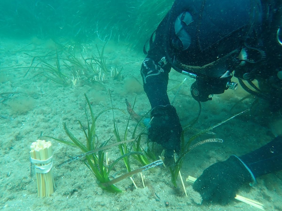 Nivea Oasi Marina: tre anni di impegno per la tutela del Mar Mediterraneo