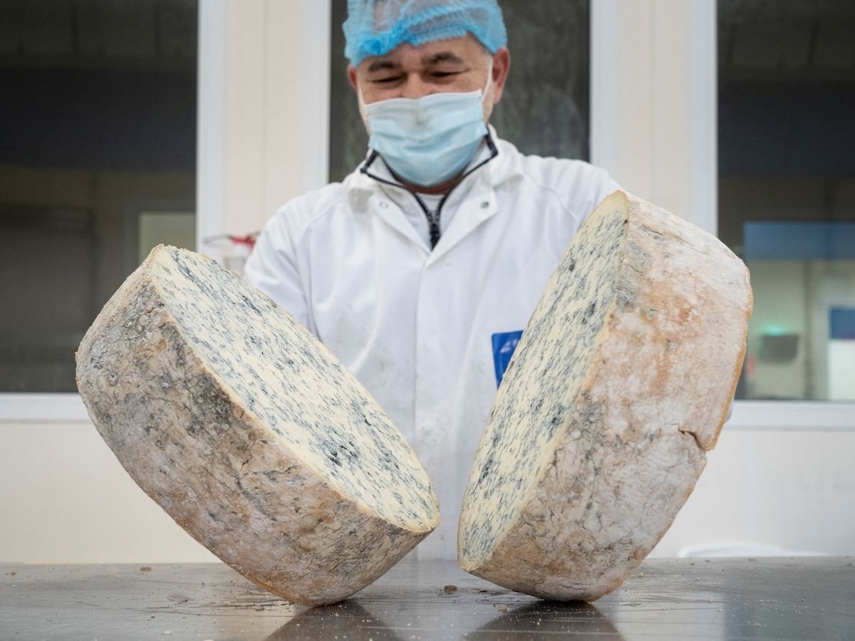 Gorgonzola Dop: produzione stabile nel primo semestre 2026
