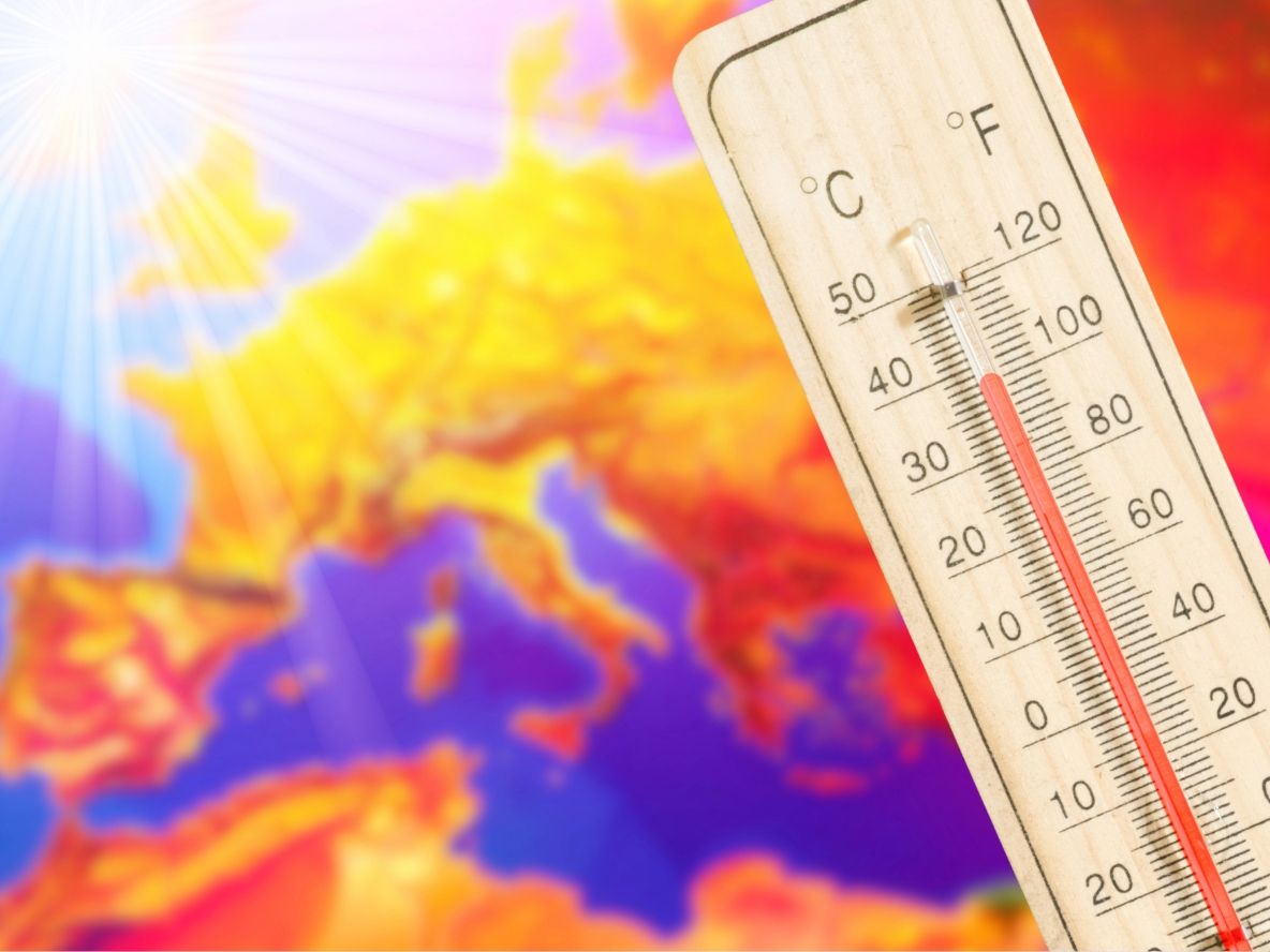Confcooperative lancia l’allarme il caldo estremo condiziona allevamenti e produzione di latte