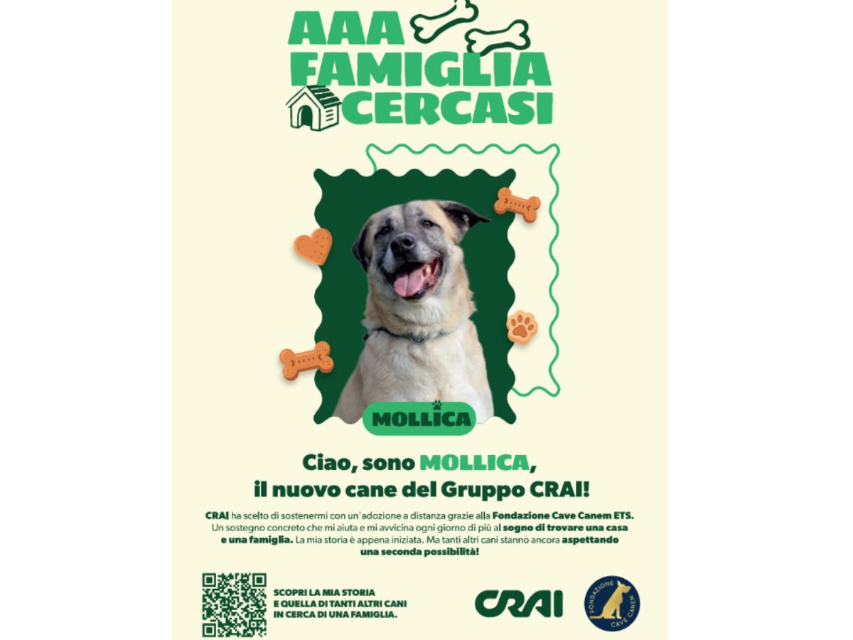 Crai insieme a Fondazione Cave Canem Ets per sostenere i cani in cerca di famiglia