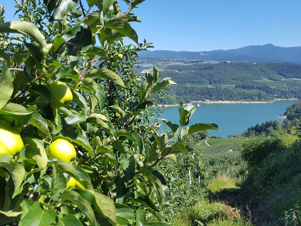 Torna “Raccontamela giusta!”, il concorso che avvicina le nuove generazioni al mondo agricolo