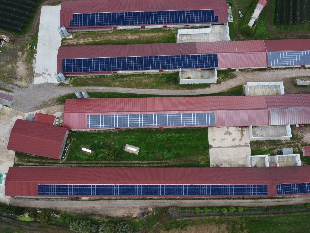 White Energy Group: cinque nuovi progetti per riqualificare coperture agricole esistenti