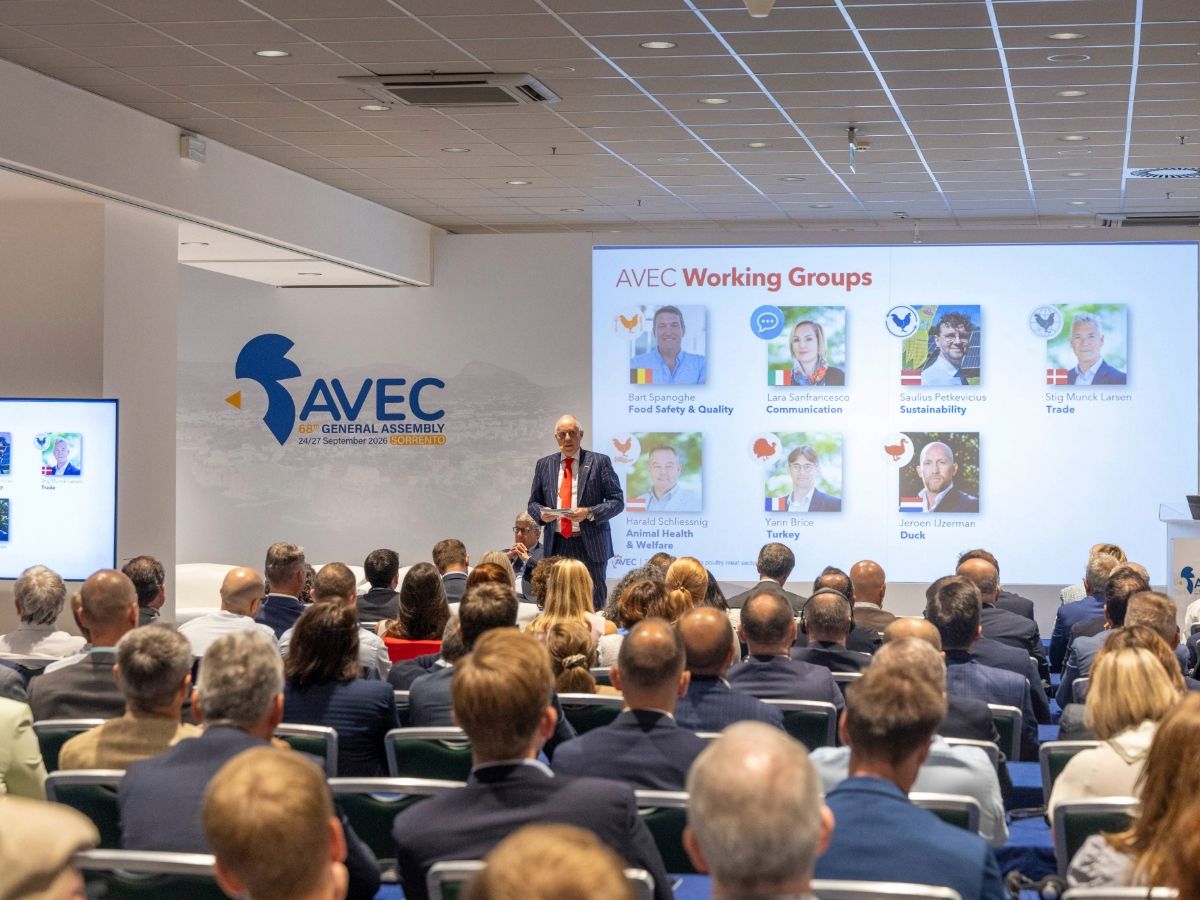 Avec: il mercato avicolo europeo cresce ma chiede maggiori investimenti in innovazione
