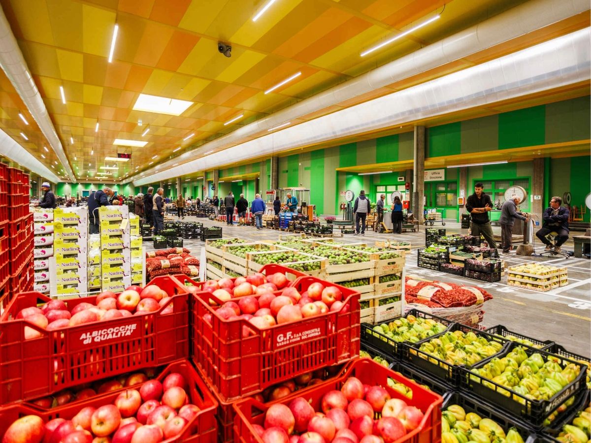 Il Mercato Ortofrutticolo di Cesena inaugura la nuova galleria climatizzata e digitalizzata