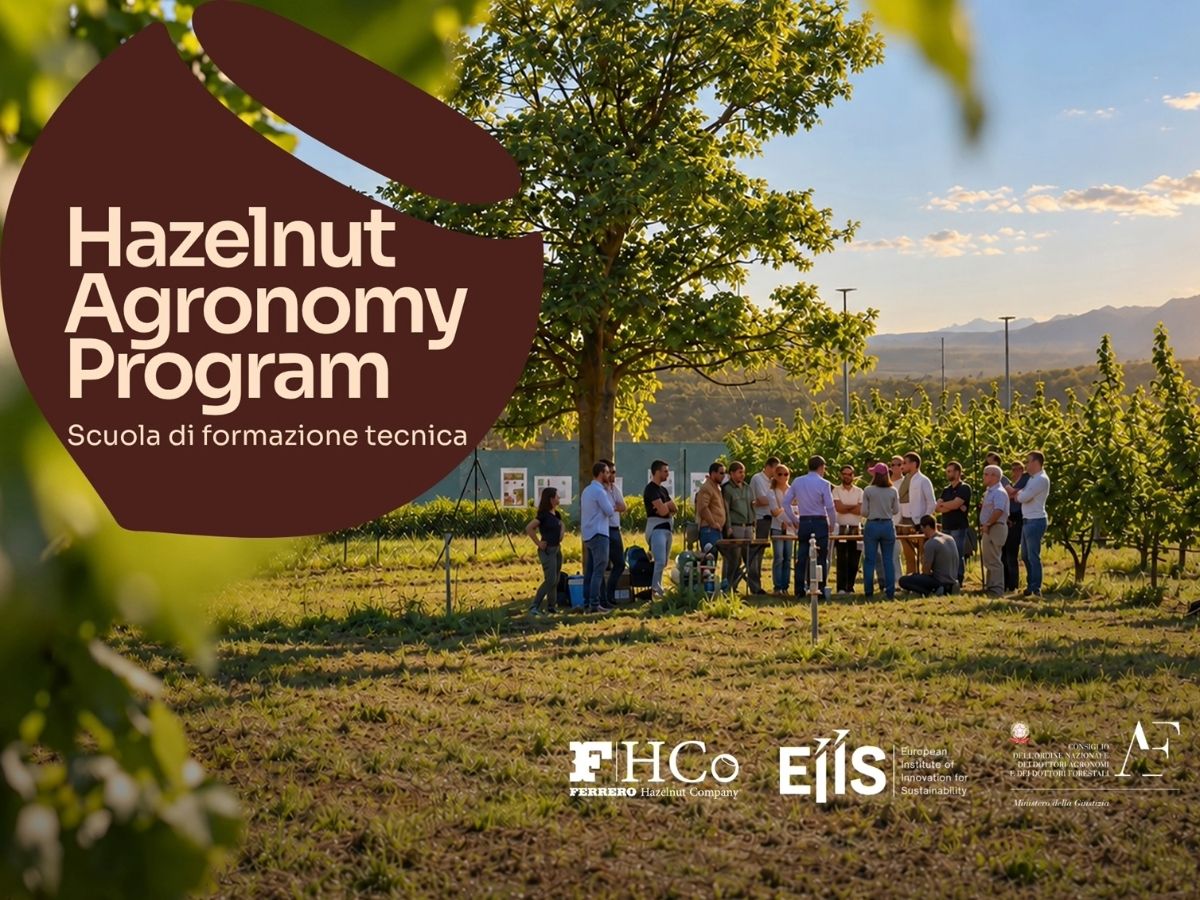 Al via le iscrizioni alla seconda edizione dell'Hazelnut Agronomy Program promosso da Gruppo Ferrero