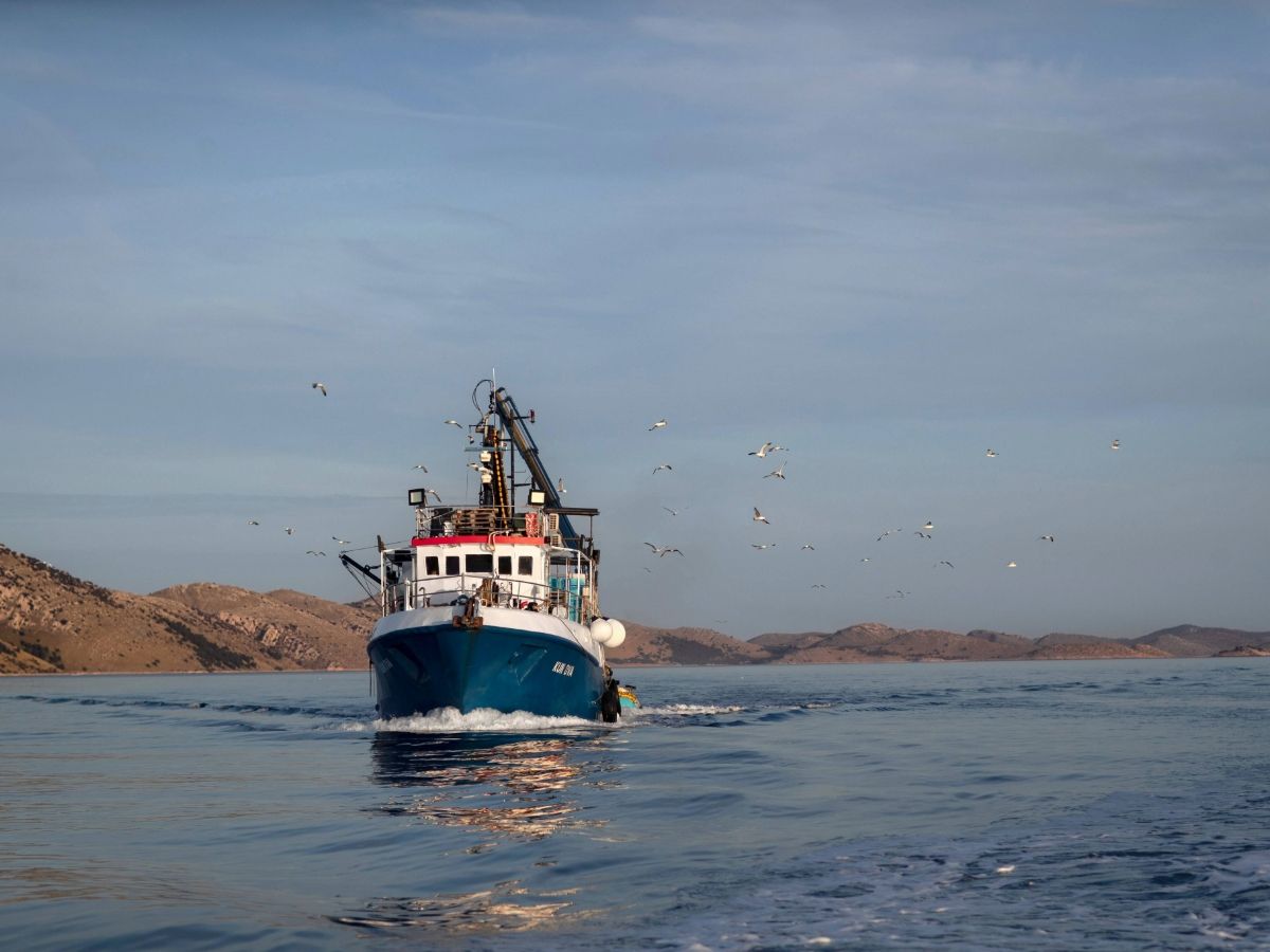 Delicius rinnova l'impegno come partner delle Settimane della Pesca Sostenibile Msc