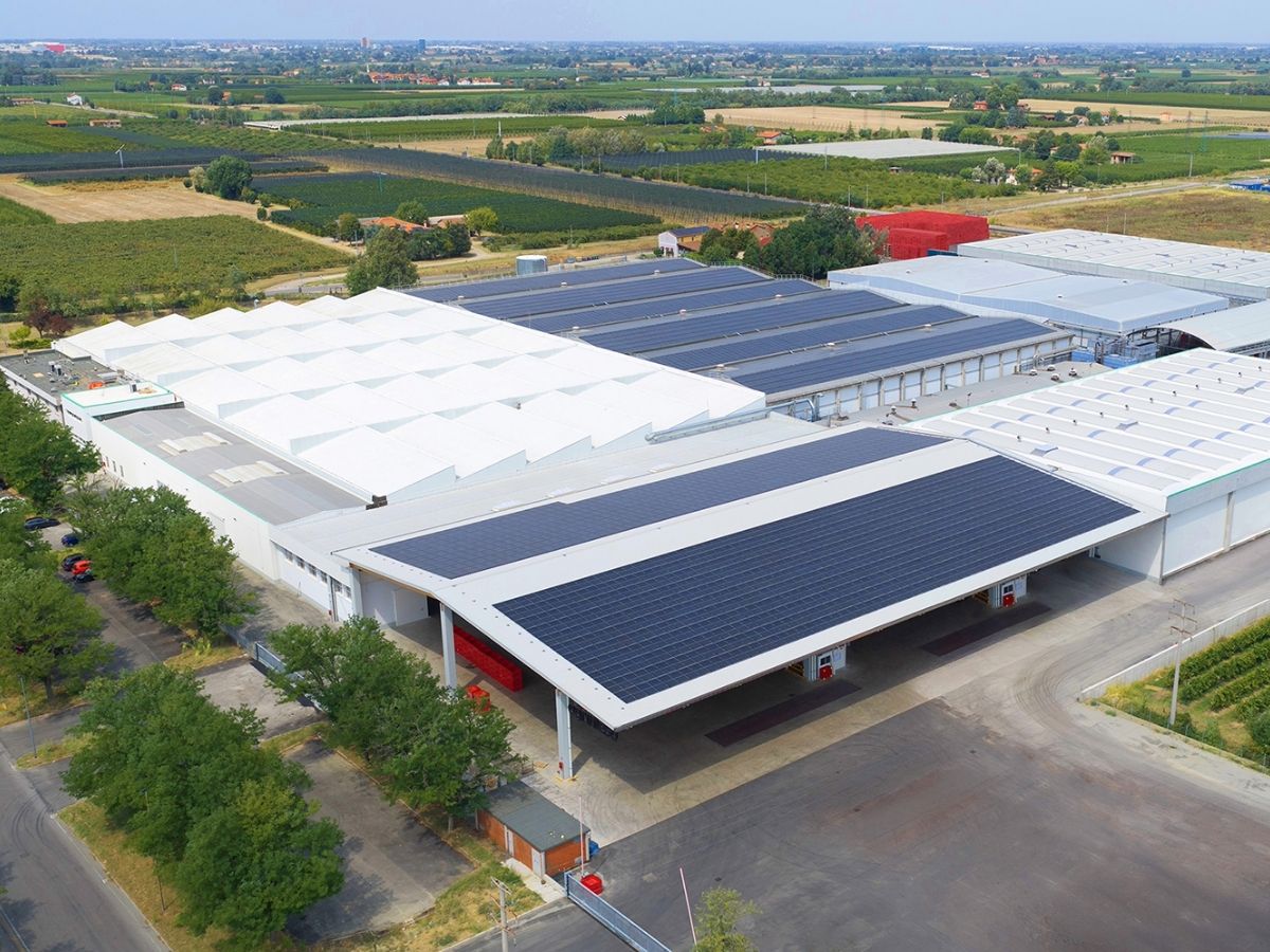Agrintesa: approvato il bilancio 2025-2026 con un valore alla produzione in forte crescita