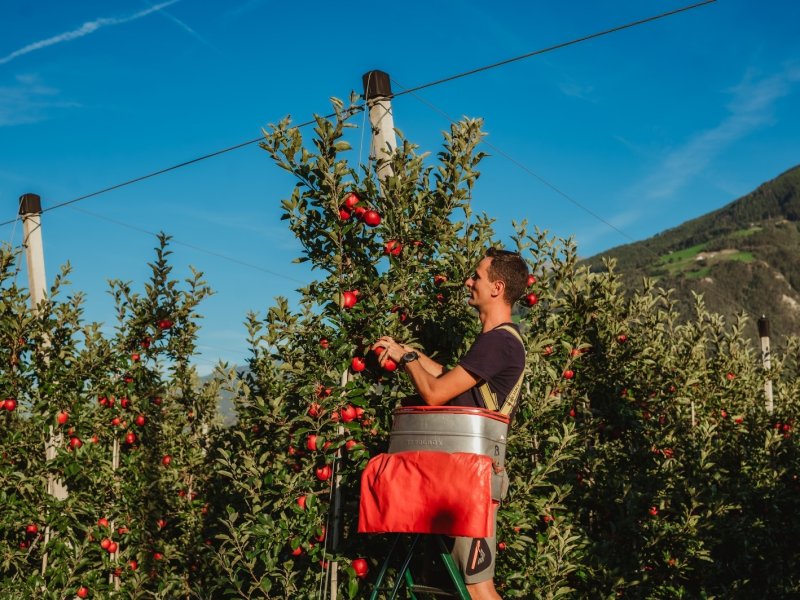 Vip guarda ai giovani per dare un futuro alla frutticoltura