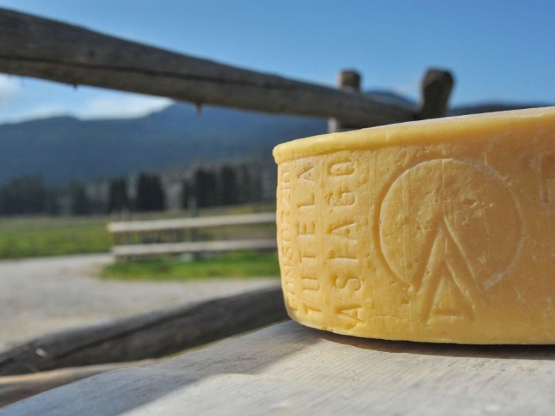 Asiago dop