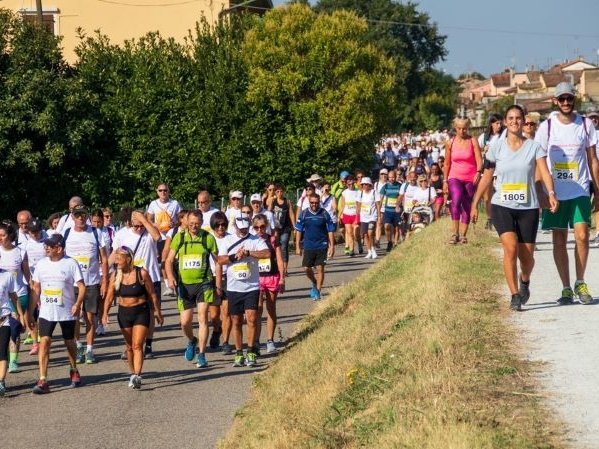 Sipo sostiene la XIII edizione della Maratona Alzheimer