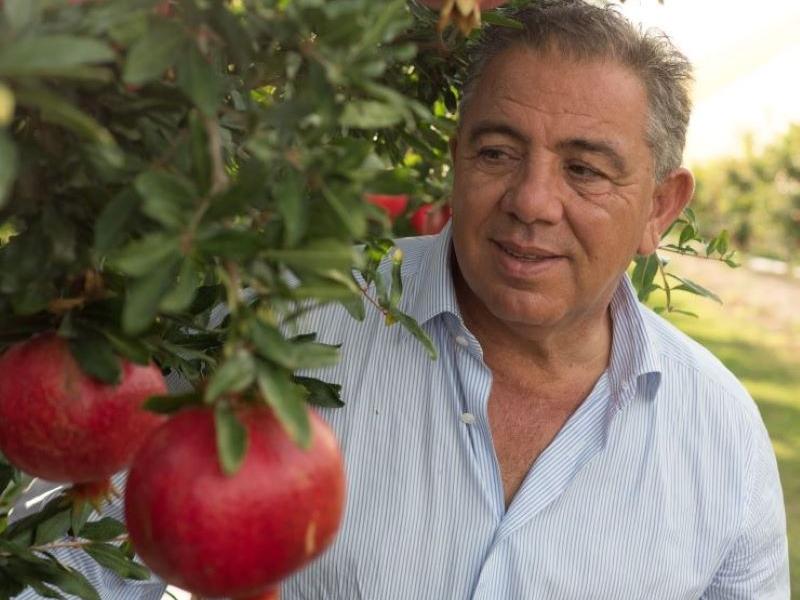 Presidente Op Agricor Natalino Gallo