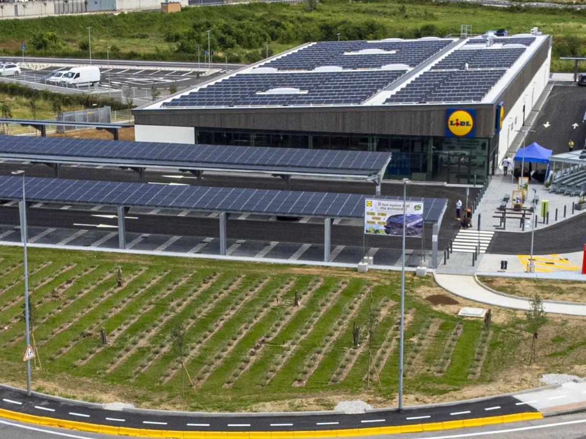 Lidl rafforza l’impegno a tutela del clima: Net-Zero entro il 2050