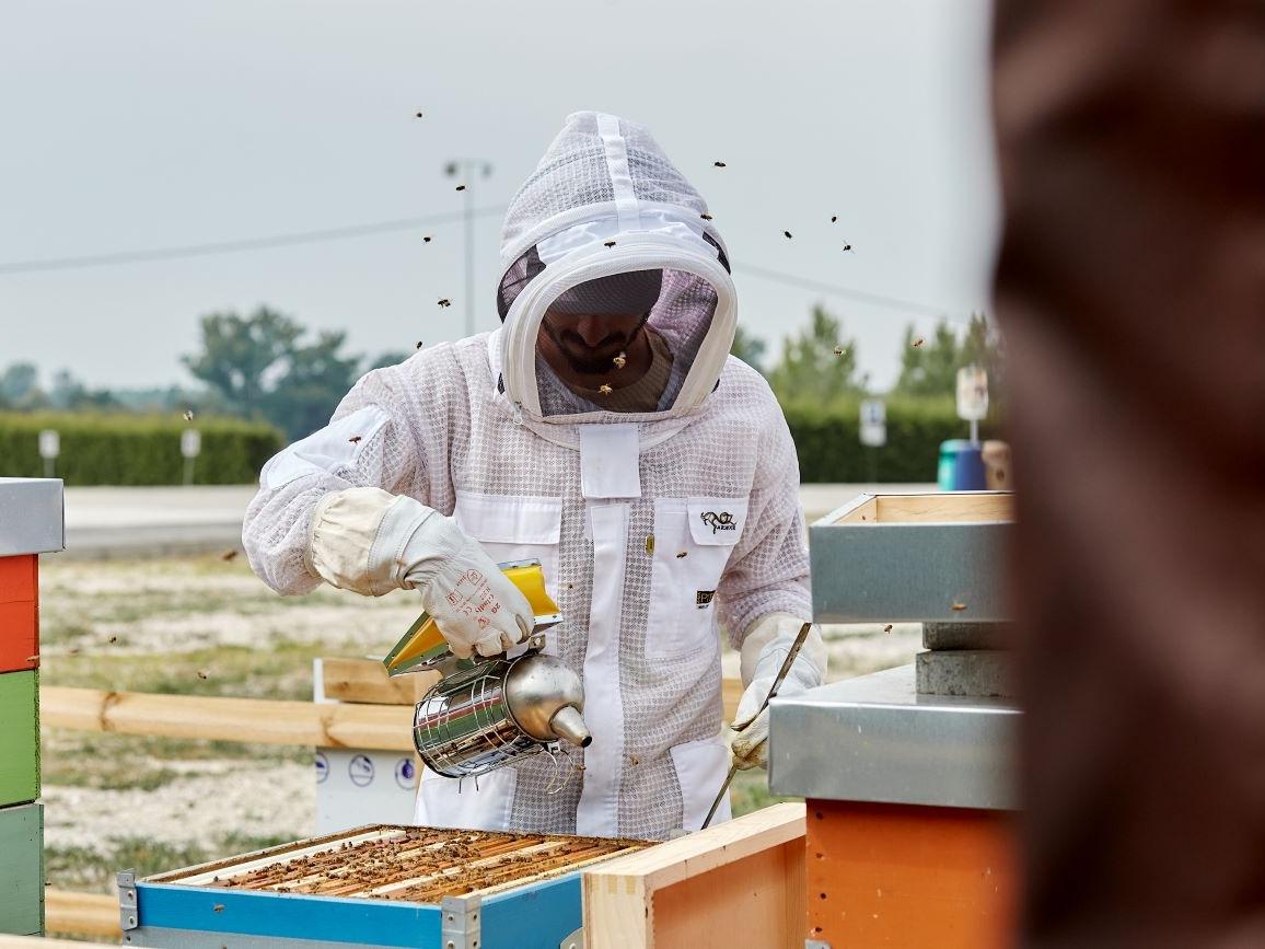 Surgital e Beeway insieme per la biodiversità