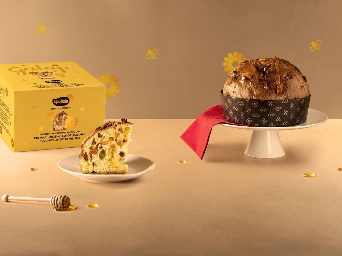 Galup e Mielizia, partnership per il lancio di un Panettone premium