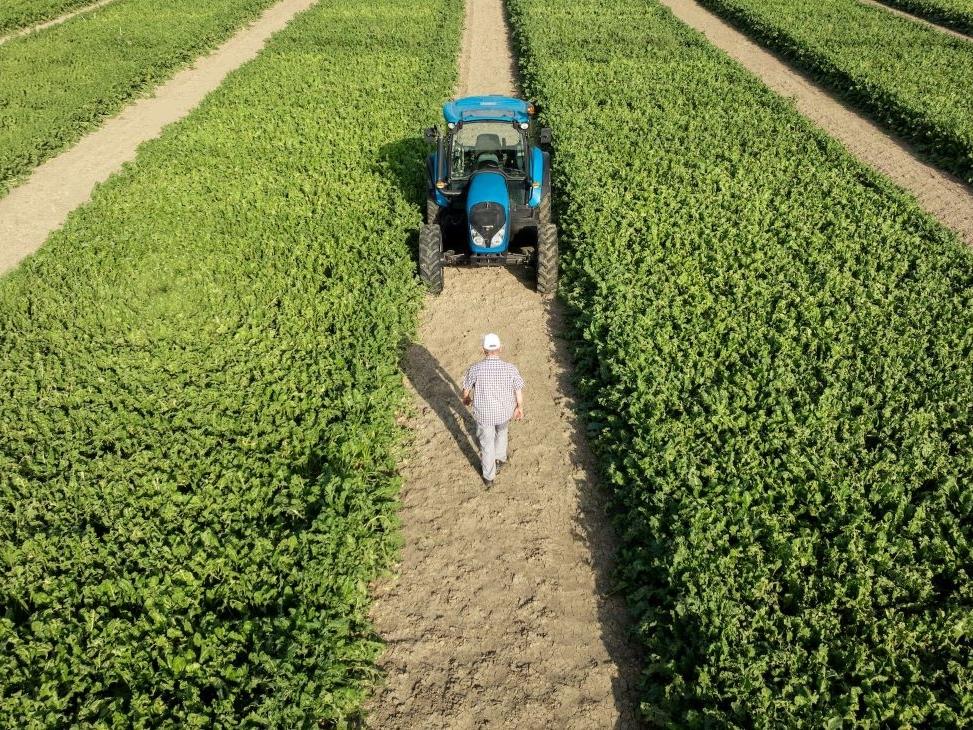 Sibeg e Italia Zuccheri-Coprob: rinnovato accordo di fornitura