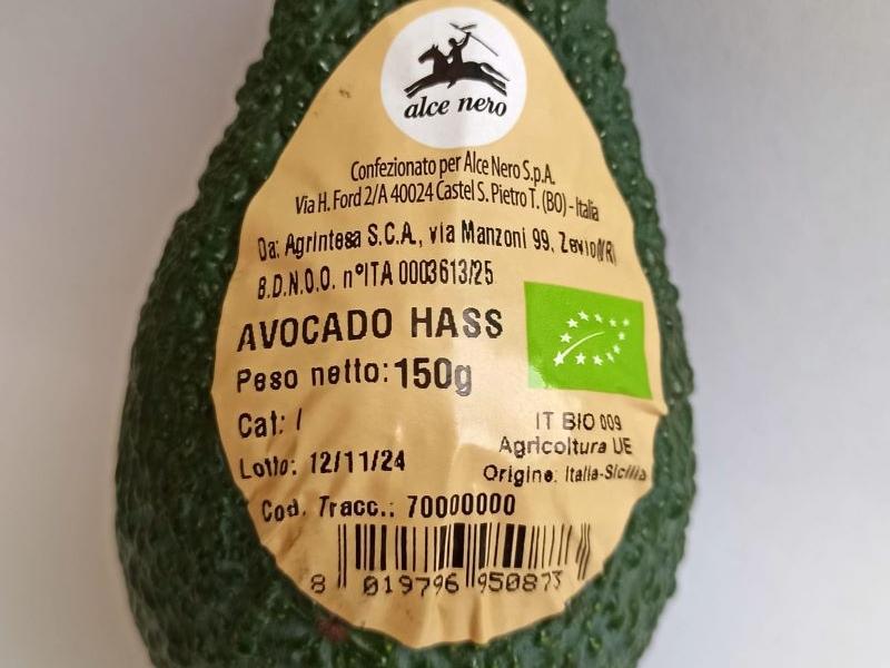 Brio avocado italiano