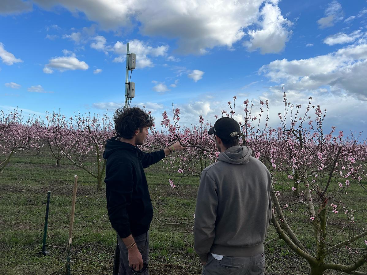 Conserve Italia punta sull’agricoltura 4.0 per una produzione agricola più sostenibile