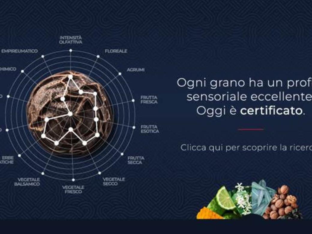 Scienze sensoriali per un’alimentazione sana e consapevole