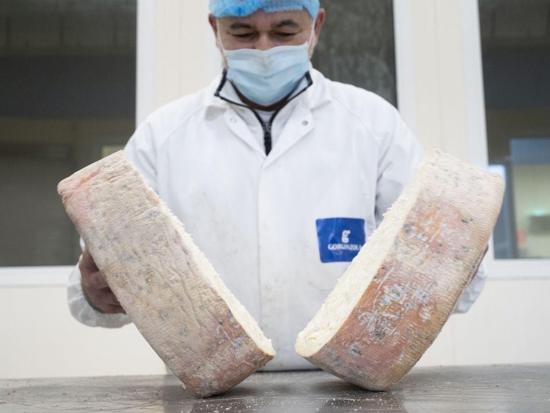 Gorgonzola Dop, produzione 2024 da record