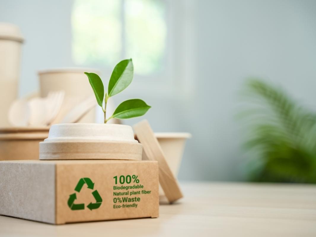 Nomisma, gli italiani cercano packaging green