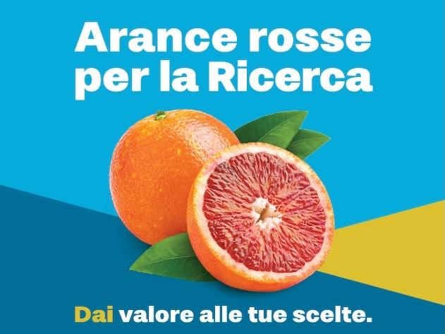 Gruppo Finiper Canova aderisce all’iniziativa "Arance rosse per la ricerca”