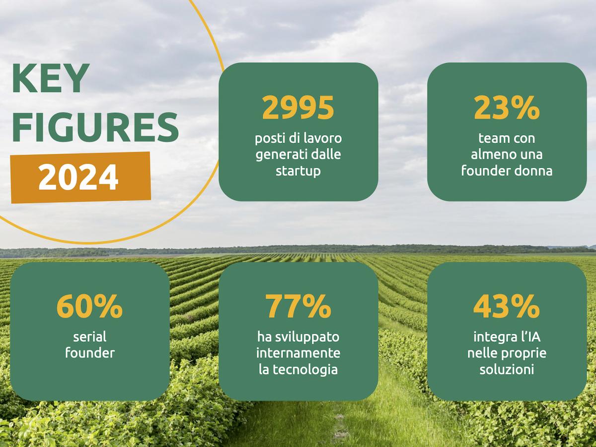 AgriFoodTech, nel 2024 calano gli investimenti