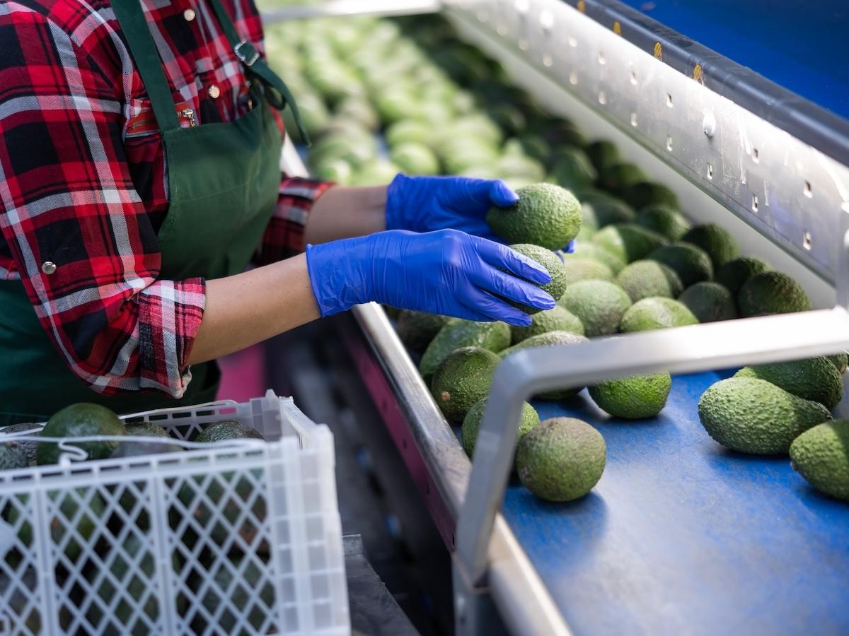 Filiera agroalimentare, da Mediocredito Centrale e Finlombarda fino a 75 milioni di euro per le Pmi