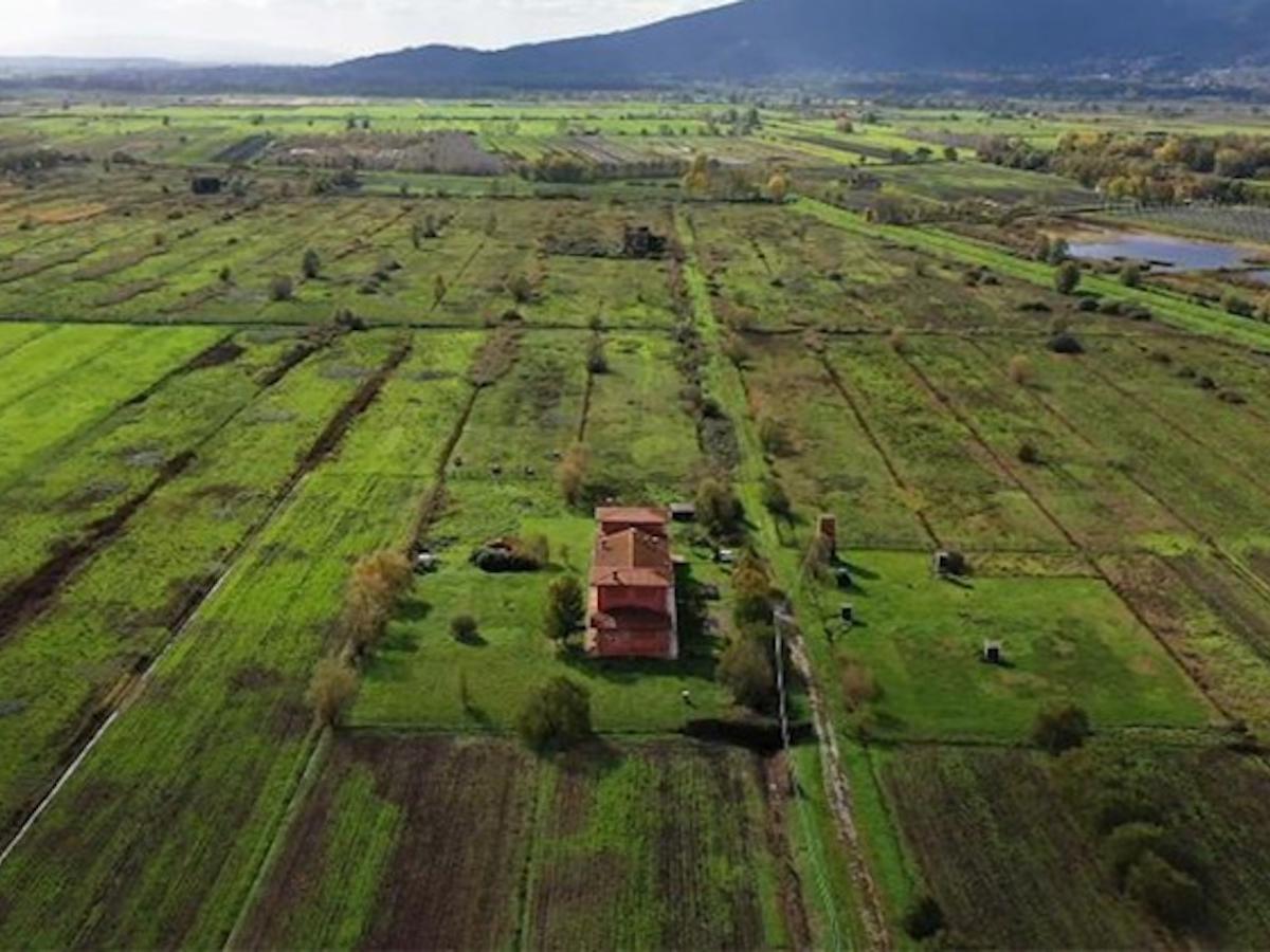 Gruppo Cartiere Carrara, finanziamento da 5 milioni di euro per la forestazione sostenibile