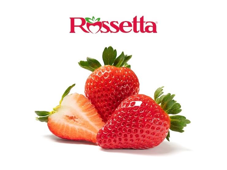 La fragola Rosetta conquista il mercato