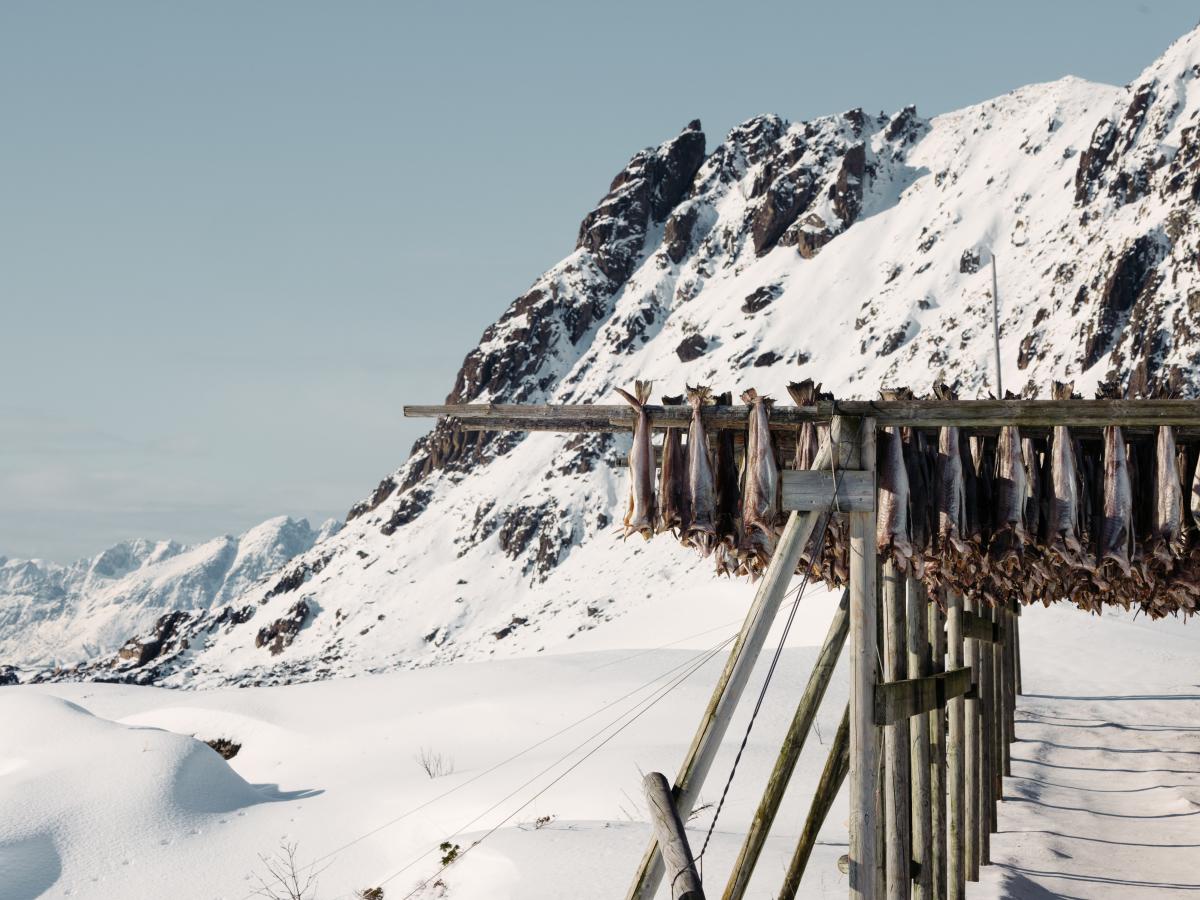 Il Norwegian Seafood Council a TuttoFood 2025: l’importanza dell’origine del prodotto