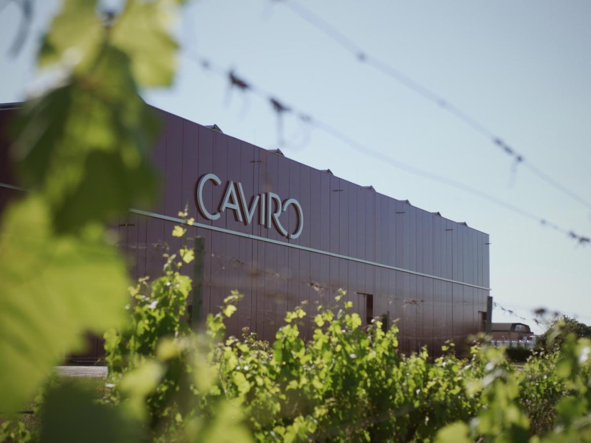 Caviro pubblica il sesto bilancio di sostenibilità