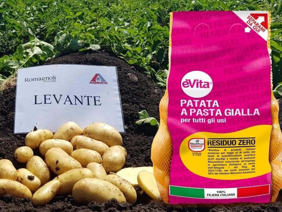 La patata èVita Residuo Zero di Romagnoli torna sugli scaffali
